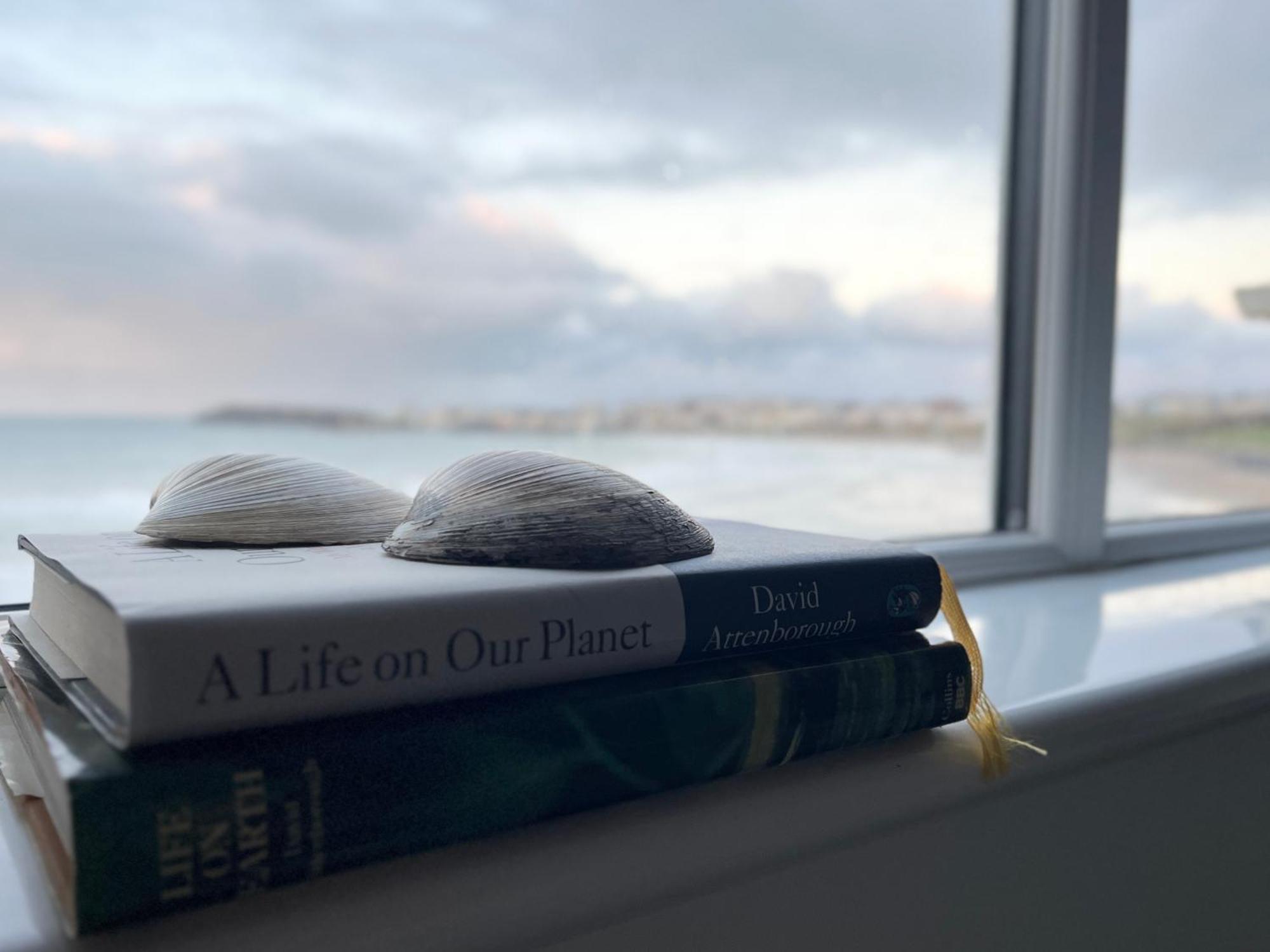 Sound Of The Sea - Penthouse In Portrush Lejlighed Eksteriør billede
